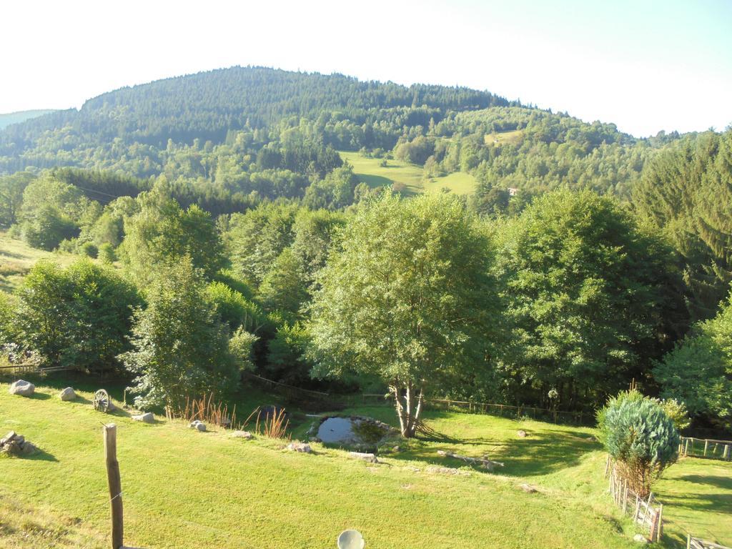 Auberge De La Grange Plainfaing Buitenkant foto