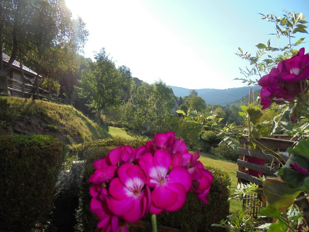 Auberge De La Grange Plainfaing Buitenkant foto